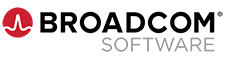 it-курсы Broadcom Software